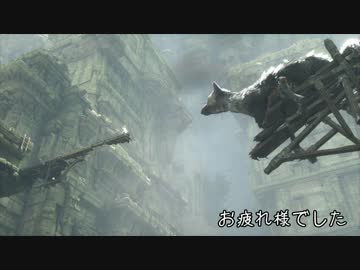 【大鷲トリコ】誰でも取れるトロフィーコンプリートガイド 後編【解説】