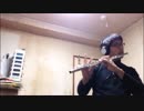 【インフルになったので】キライ・キライ・ジガヒダイ！演奏してみた