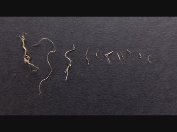 「製造過程で毛糸の中に取り込まれたゴミ」フォルダが火を噴くぜ！２