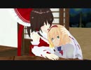霊夢とアリスの普通の日　その4