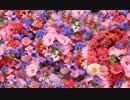 Max Richter - Vivaldi Spring 1
