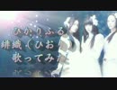 【台湾】ひかりふる　歌ってみた【緋織】(中日歌詞付)