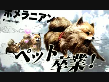 弱肉強食の東京がヤバイ！！【TOKYO JUNGLE 実況】part2