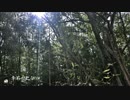 季節が巡るのは／ARIA feat.GUMI