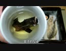 北の氷魚　南のエイリアン【長火鉢とおっさん14】