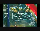 ドラッグストア を歌いましたver.三澤