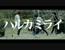 カントリーロード / ハルカミライ(Official Music Video)