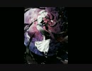 【東方アレンジ】千年幻想郷 / Life Game Rising