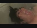 ホモと見る底辺Youtuber ブサイクな顔で浮き上がって寒いことを言う