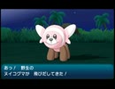 【ポケモンSM】ドMなアラサーなのにポケモンサン #15【完全初見実況】