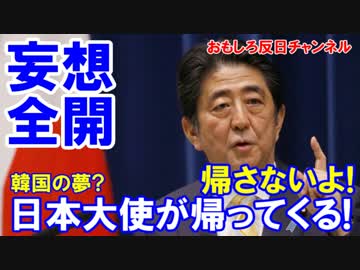 【韓国が勝手にホルホル】 日本大使が帰ってくる！安倍首相に聞いた！