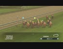 配合理論ガバガバな馬主が牝馬六冠を目指す　２６年目（５１年目）