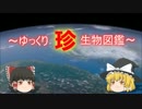 ～ゆっくり　珍　生物図鑑～　新・50回