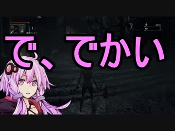 【Bloodborne】頭No派系脳筋？ゆかりのブラッドボーン初見プレイ Part5