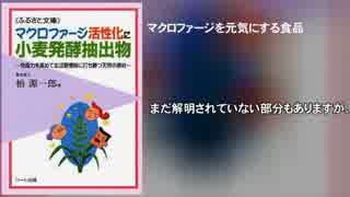 マクロファージ活性化に小麦発酵抽出物