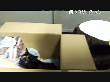 そっちじゃない＾＾；