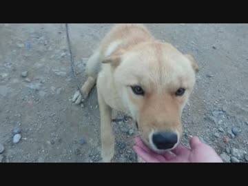 おかえり！おかえり！おかえり！おかえり！