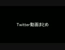 Twitter動画まとめ