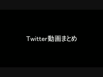 Twitter動画まとめ