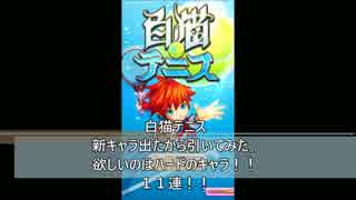 白猫テニス　欲しいのはハードのキャラ！！　１１連！！
