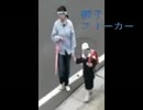 集団ストーカーによる嫌がらせ.2010ver
