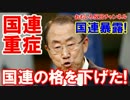 【 国連専門記者が暴露】国連の格を下げ、信頼を落とし、国連は死んだ！