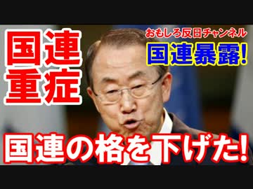 【 国連専門記者が暴露】国連の格を下げ、信頼を落とし、国連は死んだ！