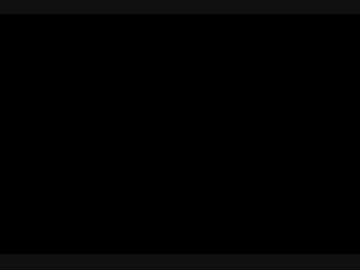 マリオ64 16枚RTA 17:29.24