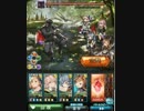 【グランブルーファンタジー】黒子戦_170120-22:15