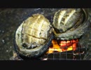 アウトドアをやろう！「巨大高級アワビをたき火で食べるぞ」 in 八丈島