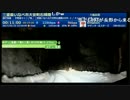 雪道での鹿と遭遇