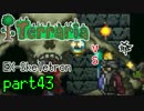 【Terraria】ハードコアでterraria最強完璧を目指す　～part43～