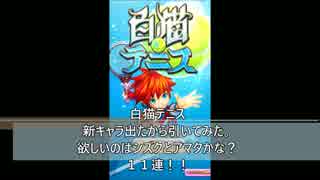 白猫テニス　欲しいのはシズクとアマタかな？　１１連！！