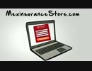 Why Mexican Insurance Is Useful