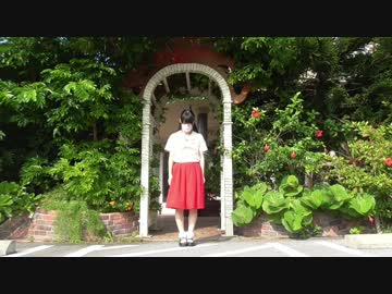 【紅じゃけ】さようなら、花泥棒さん 踊ってみた