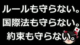 【ゆっくり保守】 駐韓日本大使、無期限待機か？