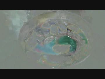 【ムコ殿シリーズ】タコの煮物