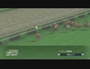 配合理論ガバガバな馬主が牝馬六冠を目指す　２８年目（５３年目）