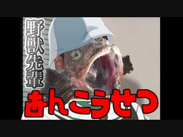 野獣先輩あんこう説