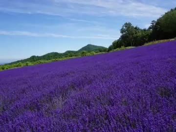 第6回 写真で日本制覇 Part4