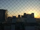 浜田省吾【君に会うまでは】歌ってみた