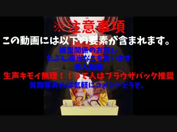 もっとプラモをやろう#1.0（大雑把にすみ入れ！！）