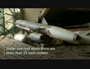 ISISの化学兵器工場を発見：モスル東部