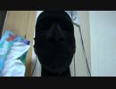 ☆音フェチ☆ ティッシュの可能性 ダミーヘッドマイク ヘッドホン推奨