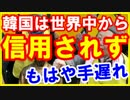 【韓国の実態】「このままでは韓国は世界から信用を失ってしまう」