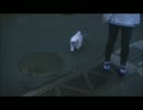 【ししまる 034】 金網ジャンプ