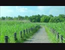 オリジナル曲 散歩