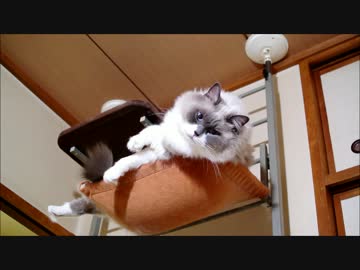うえから時定