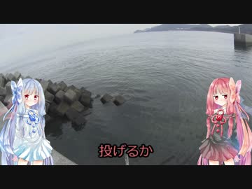 きまぐれナマコ天国