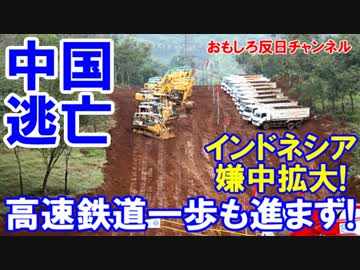 【中国が難癖逃亡】 高速鉄道一歩も進まず!そのまま１年が過ぎた!